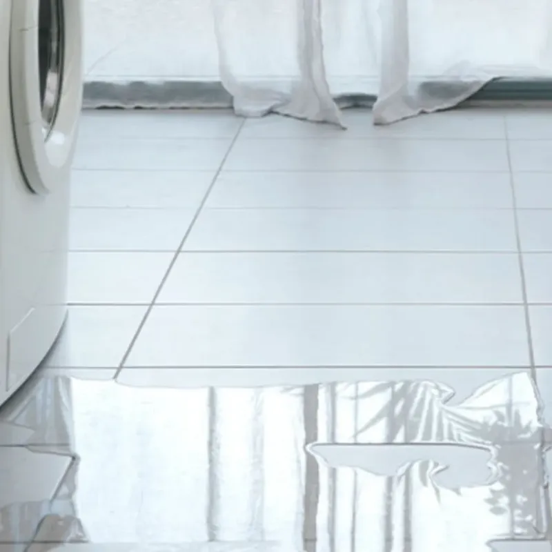 Appliance Leak Cleanup in Saint Louis Park, MN