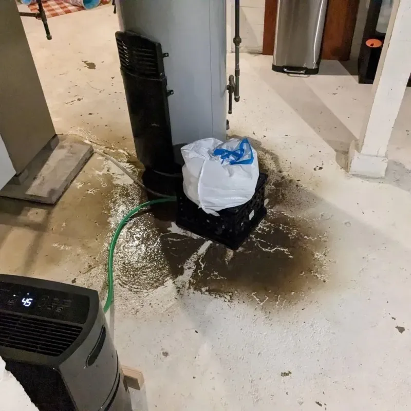 Sewage Backup Cleanup Service in Saint Louis Park, MN